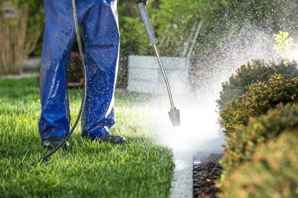 Cost of Curb Cleaning in Elmhurst