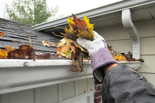 Cost of Eaves Cleaning in Elmhurst